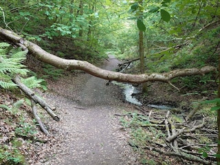 Ferienhaus Tranum Strand  31