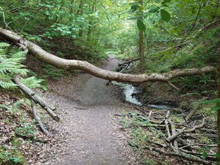 Maison de vacances Tranum Strand  31