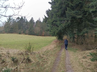 Ferienhaus Tranum Strand  35