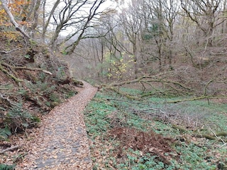 Ferienhaus Tranum Strand  37