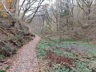 Maison de vacances Tranum Strand  37