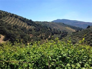 Cottage Algarinejo Außenaufnahme 9