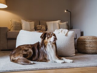 Appartamento per vacanze Meran Caratteristiche 9