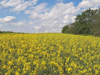 Ferienhaus Sæby  27