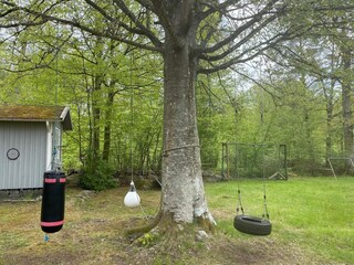 Vakantiehuis Trensum Buitenaudio-opname 8