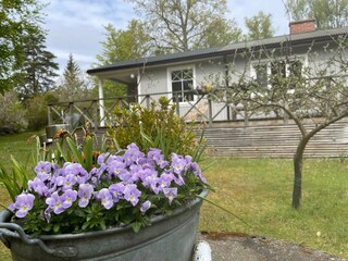 Ferienhaus Trensum Außenaufnahme 6