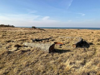 Vakantiehuis Tversted  21