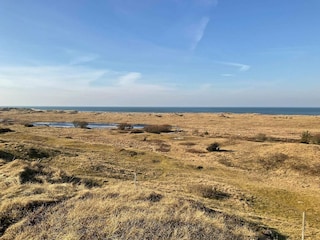 Maison de vacances Tversted  6