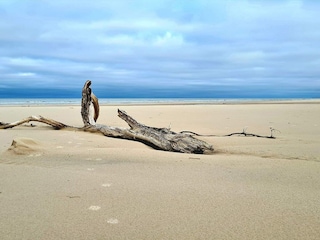 Maison de vacances Tversted  19