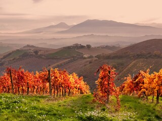 Casa per le vacanze Cingoli Ambiente 28