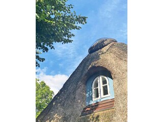 Vakantiehuis Rabenkirchen-Faulück Buitenaudio-opname 4