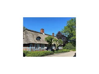 Frontansicht des Ferienhauses