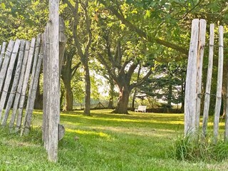 Casa de vacaciones Rabenkirchen-Faulück Grabación al aire libre 4