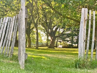 Casa de vacaciones Rabenkirchen-Faulück Grabación al aire libre 5