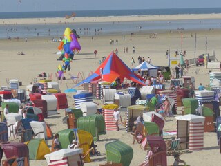 Vakantieappartement Borkum Omgeving 35