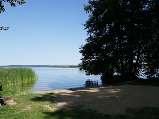 Badestelle Tollensesee, 300 m entfernt