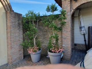 Casa de vacaciones Veen Grabación al aire libre 15