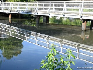 Am Provianthaus_Weiße Brücke