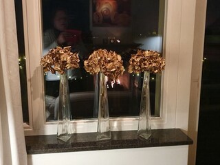 Casa per le vacanze Veen Caratteristiche 34