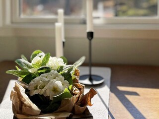 Vakantiehuis Varekil  7