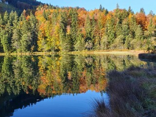 Herbststimmung Frillensee