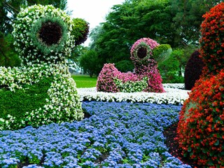 Blumeninsel Mainau, direkt gegenüber von uns