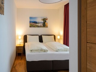 Apartamento Hollersbach im Pinzgau Características 12