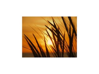 Appartamento per vacanze Wangerooge Registrazione all'aperto 4