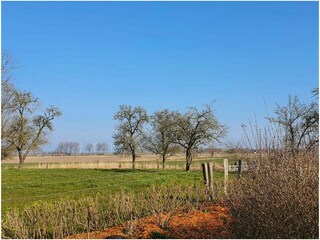 Ferienhaus Upleward Außenaufnahme 26