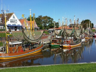 Ferienhaus Upleward Außenaufnahme 32