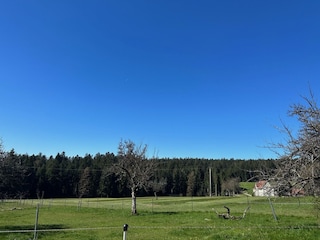 Apartamento de vacaciones Loßburg Grabación al aire libre 9