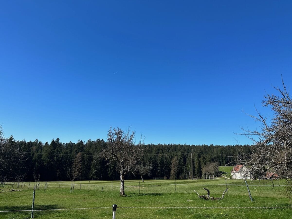 Ausblick vom Balkon