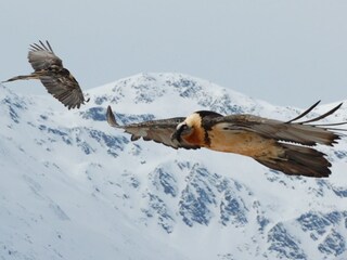 Appartamento per vacanze Mals Registrazione all'aperto 8