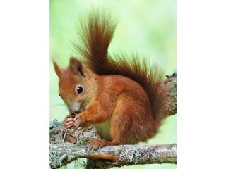 Appartamento per vacanze Mals Ambiente 14