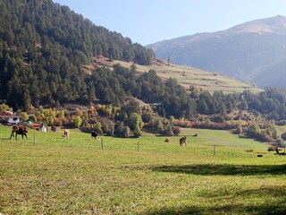 Appartamento per vacanze Mals Ambiente 15