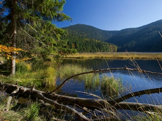 Idylle am Arbersee