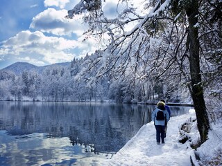 Winterspaziergang am Arbersee