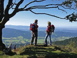 Wanderausflug auf den Kaitersberg