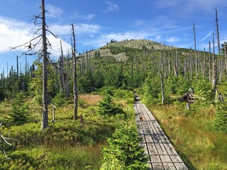 Nationalpark Bayerischer Wald