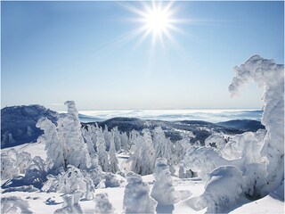 Winterzauber im Bayerischen Wald