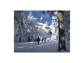 Schneeschuhwanderung zum Riedlstein