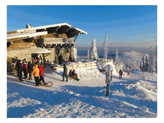 Winterangebote am Großen Arber