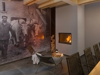 Villa Pazin Caratteristiche 30