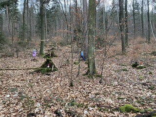 Holiday apartment Wachenheim Environment 25