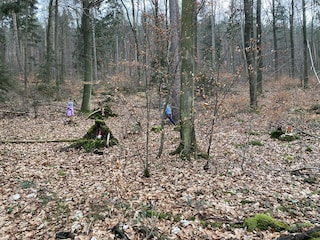 Kinder auf dem Wichtelweg