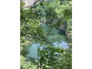 Appartamento per vacanze Wachenheim Ambiente 30