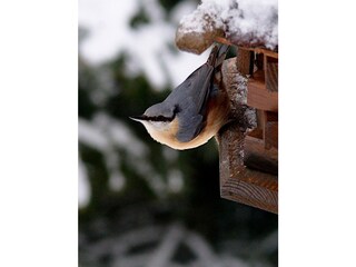 Appartamento per vacanze Wachenheim Ambiente 32