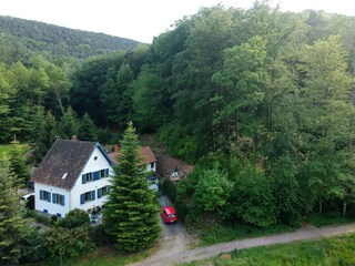 Ferienhaus mit Wald von oben