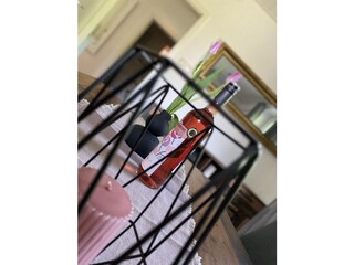 Appartamento per vacanze Wachenheim Caratteristiche 12