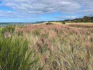 Casa per le vacanze Fjellerup Strand  19